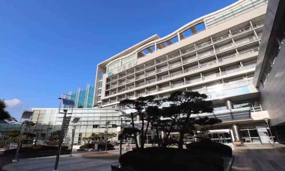 Busan Tourism Organization Arpina 2/23