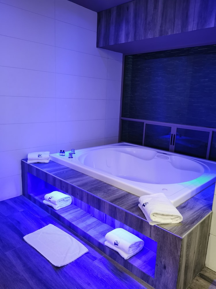 Hotel Plaza Arteaga 44/44