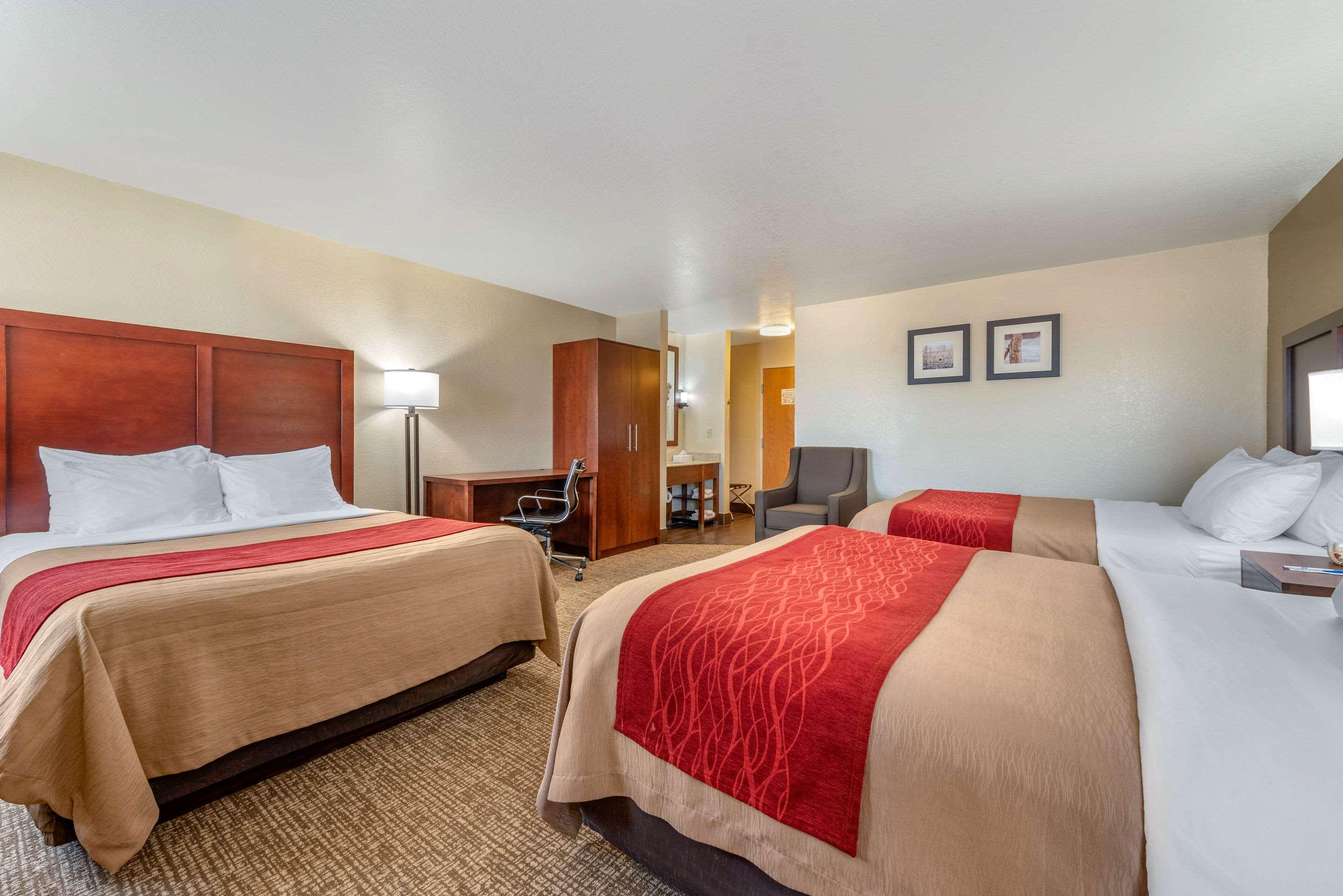 Efficiency, 3 Queen Beds