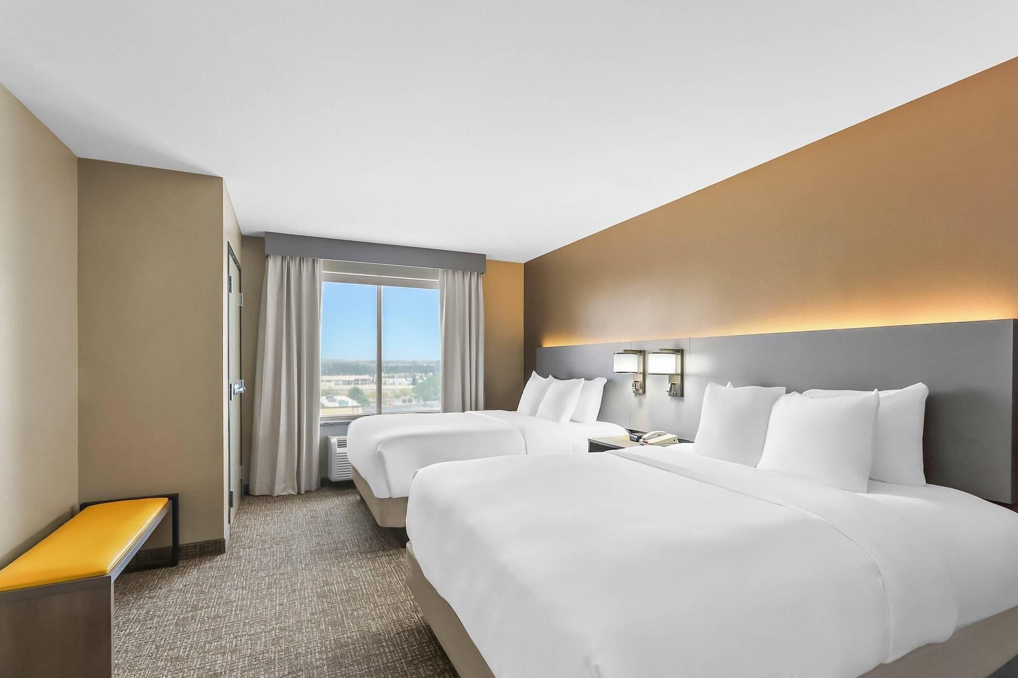 Suite, Multiple Beds
