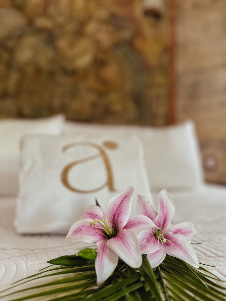 Hotel Boutique Aurea 23/58
