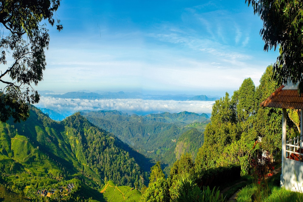 Blackberry Hills Munnar - Nature Resort & Spa 66/73