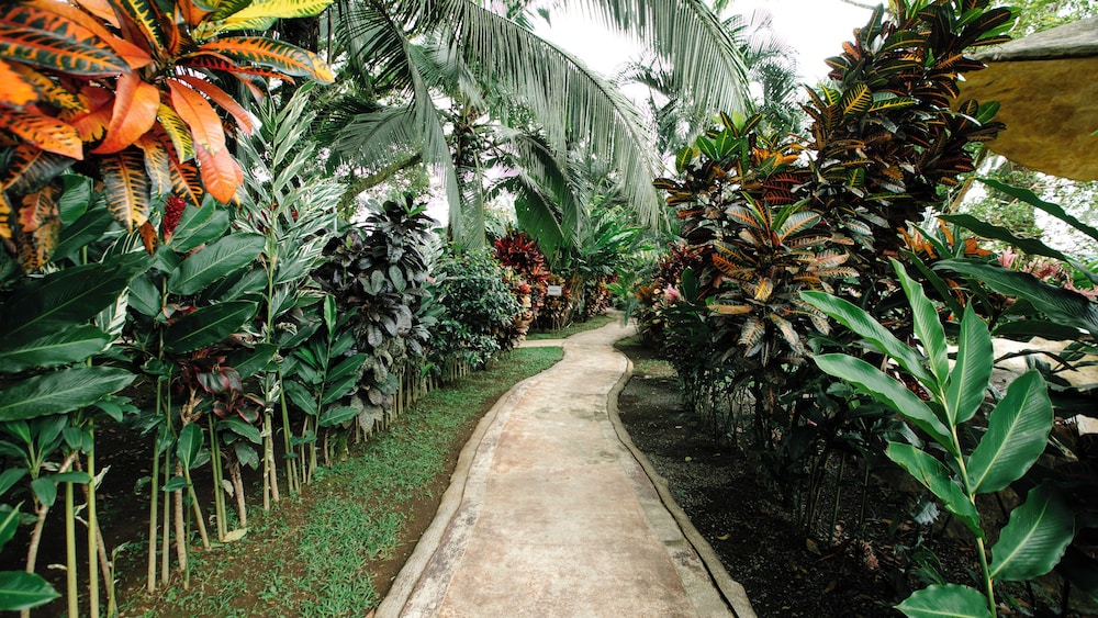 Hotel Las Orquideas 30/50