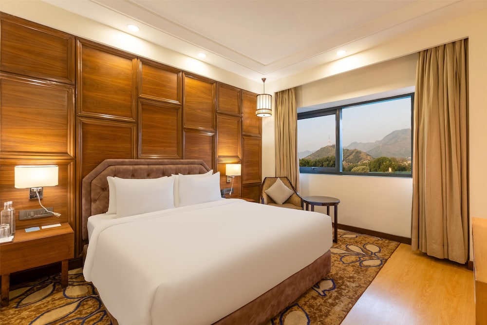 Radisson Srinagar 18/54