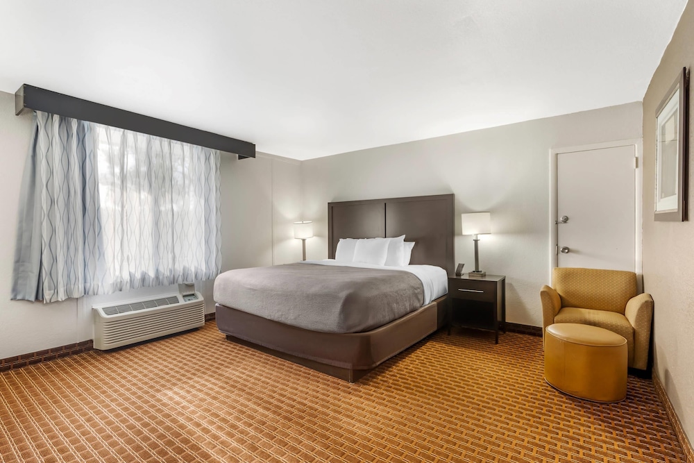 PREMIUM, SUITE, KING BED, SOFA