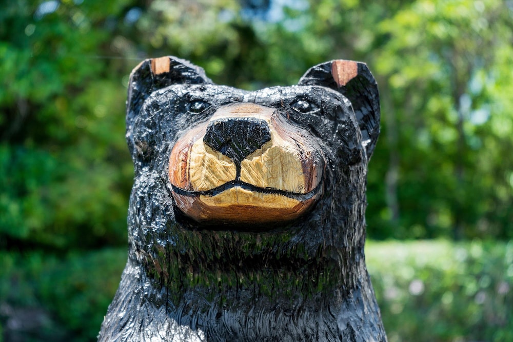 Cinnamon Bear Creekside Inn 28/59