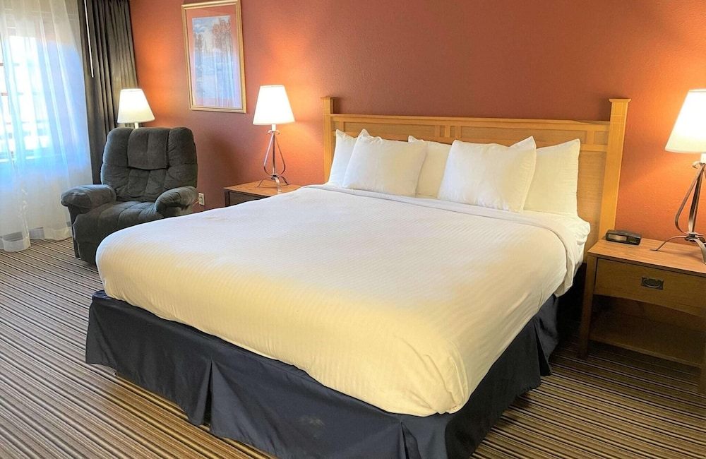 Standard, Single, King Bed