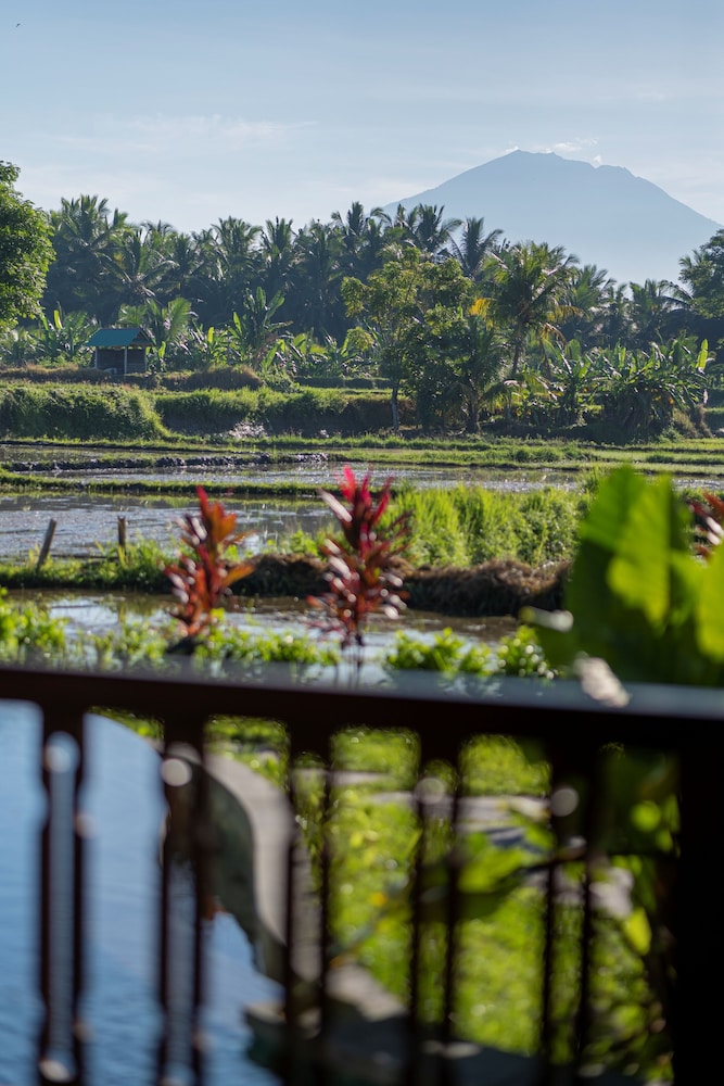 Beehouse Dijiwa Ubud 39/48
