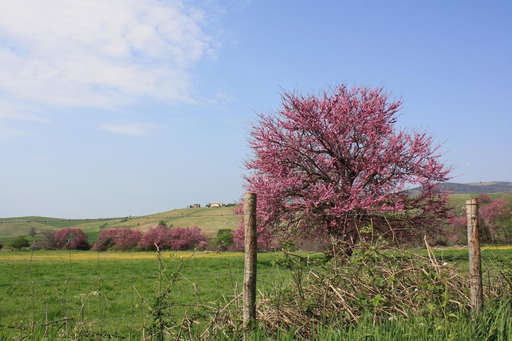 Agriturismo I Sicomori 28/48