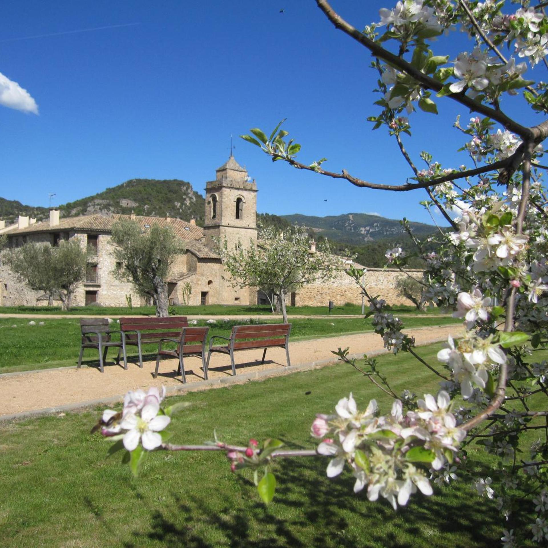 Ligüerre Resort 35/43