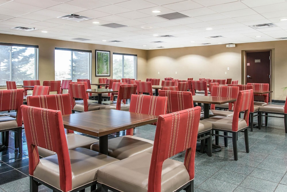 Comfort Suites Wixom - Novi 29/32