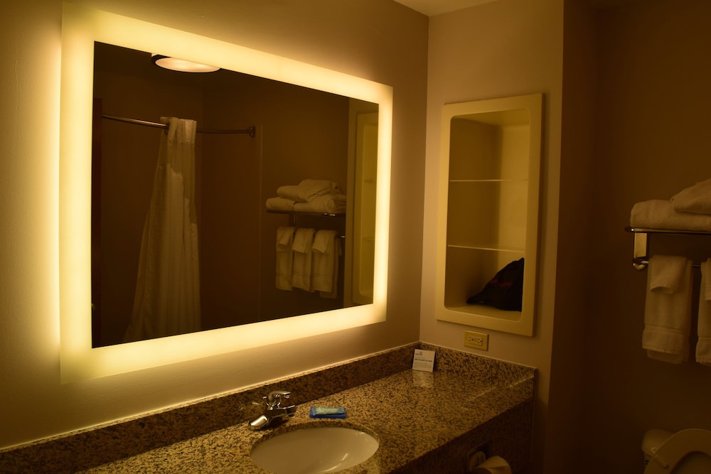 Holiday Inn Express Hotel Suites Sparta 27/49
