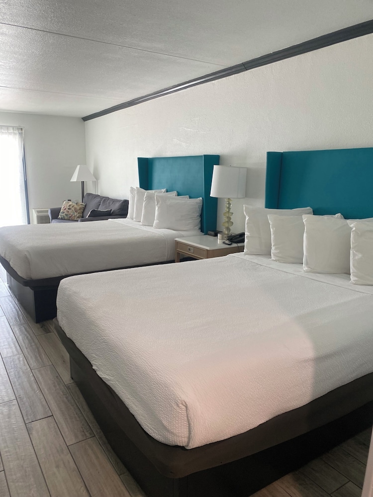 Studio, 2 Queen Beds, Ocean Front, Sofa