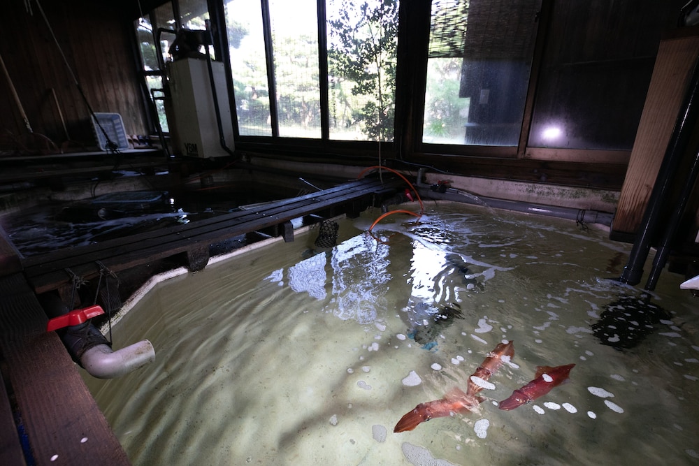 Mizuno Ryokan 14/50
