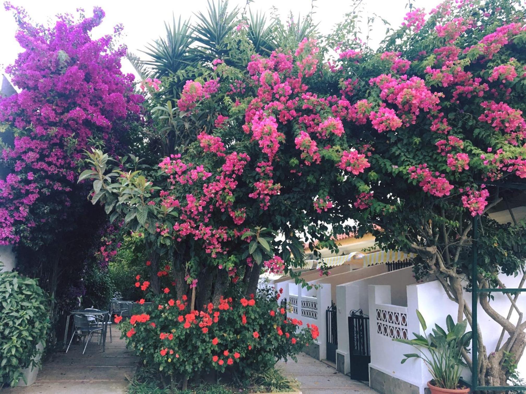 Hotel Antonio Conil 43/45