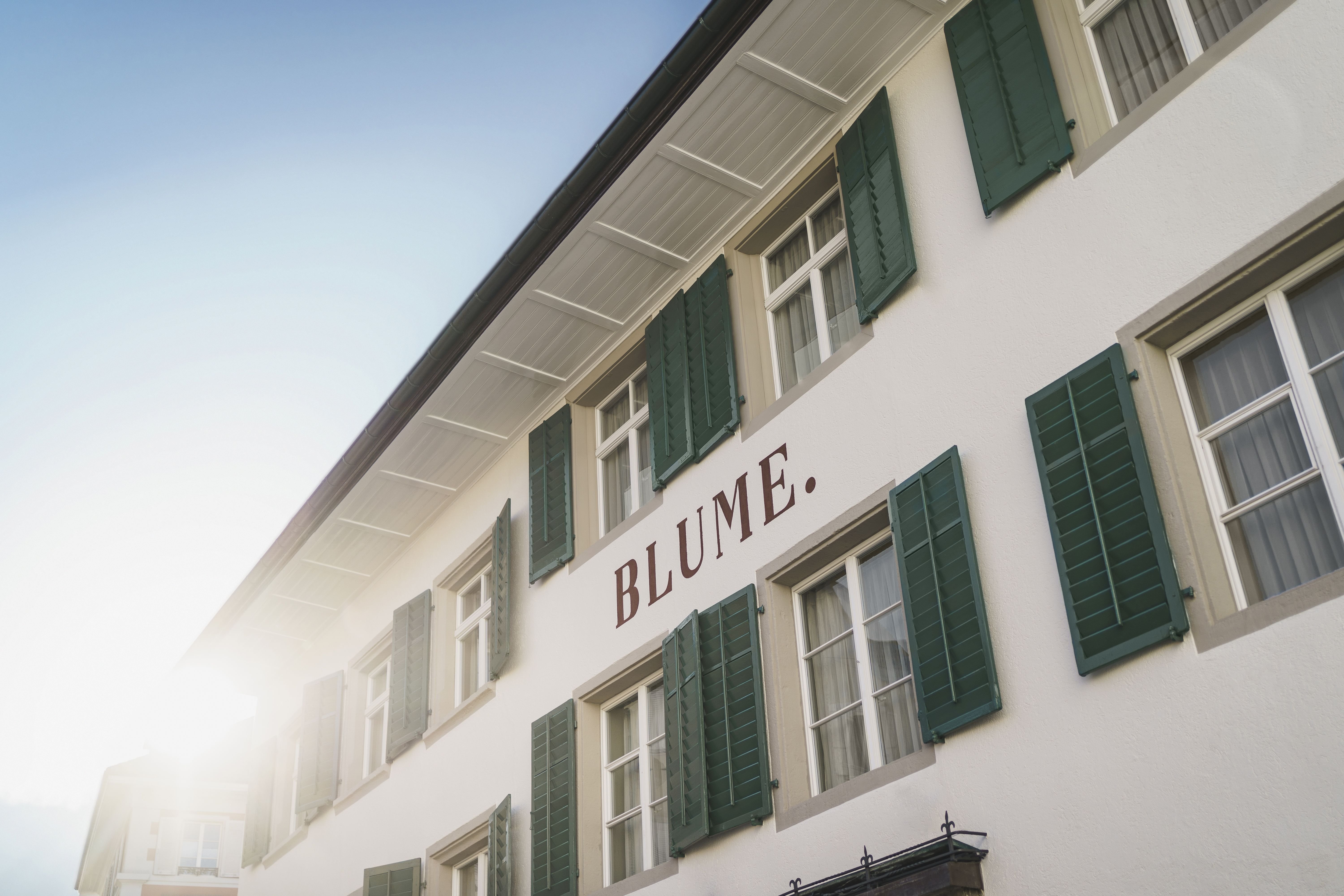 Atrium Hotel Blume 2/19