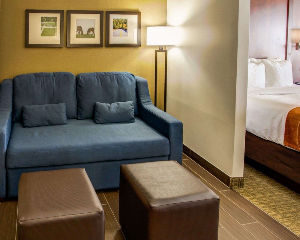 Comfort Suites Georgetown, KY 30/44