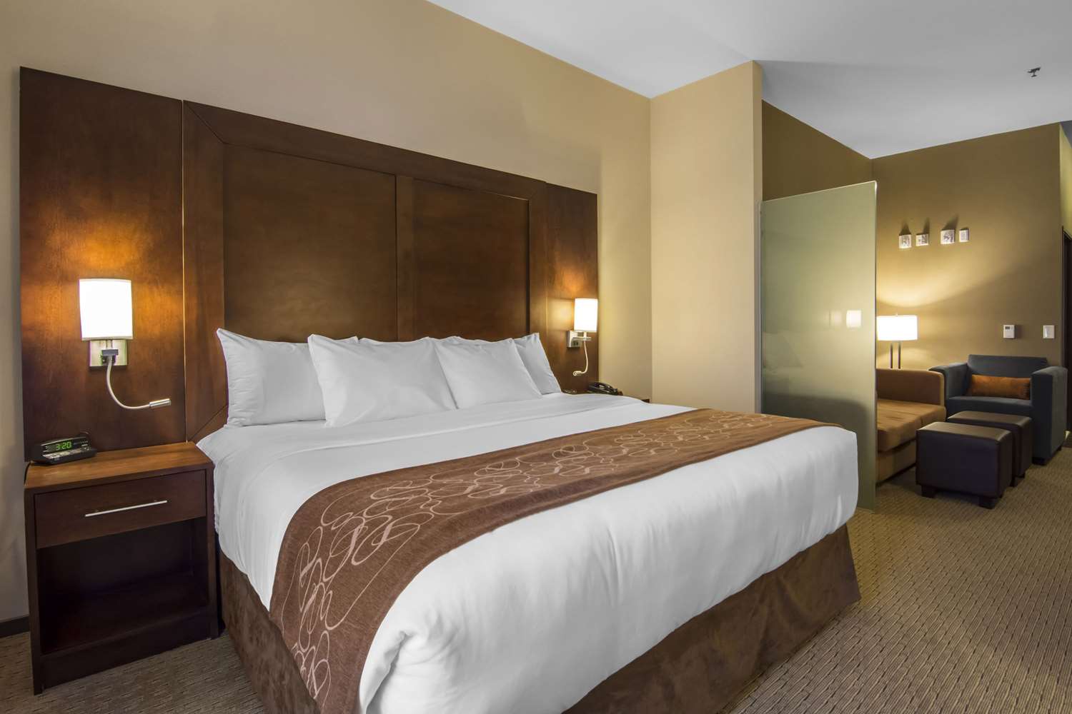 Comfort Suites Saskatoon 10/43