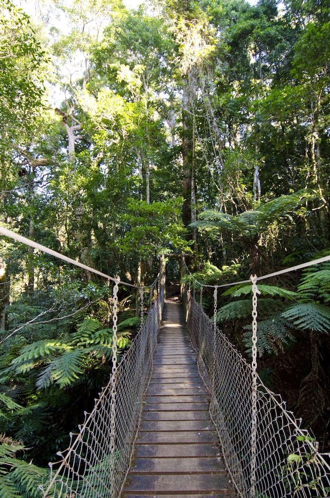 O Reilly S Rainforest Retreat 34/48