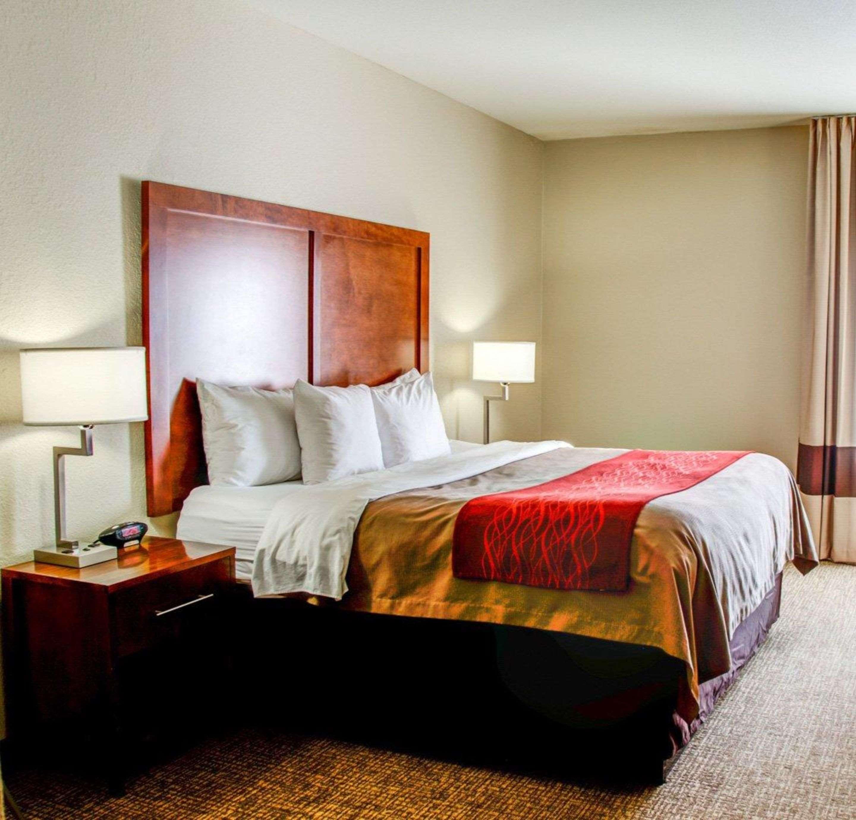 Room, King Bed