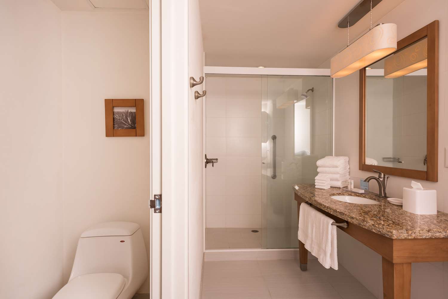 جناح سوبيريور، Hampton Inn by Hilton Guadalajara/Expo 4/6