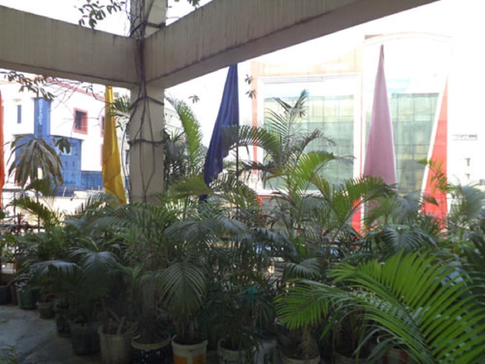 surroundings