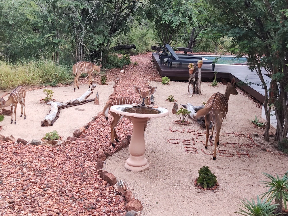 Gem in the Bush Lodge 40/50