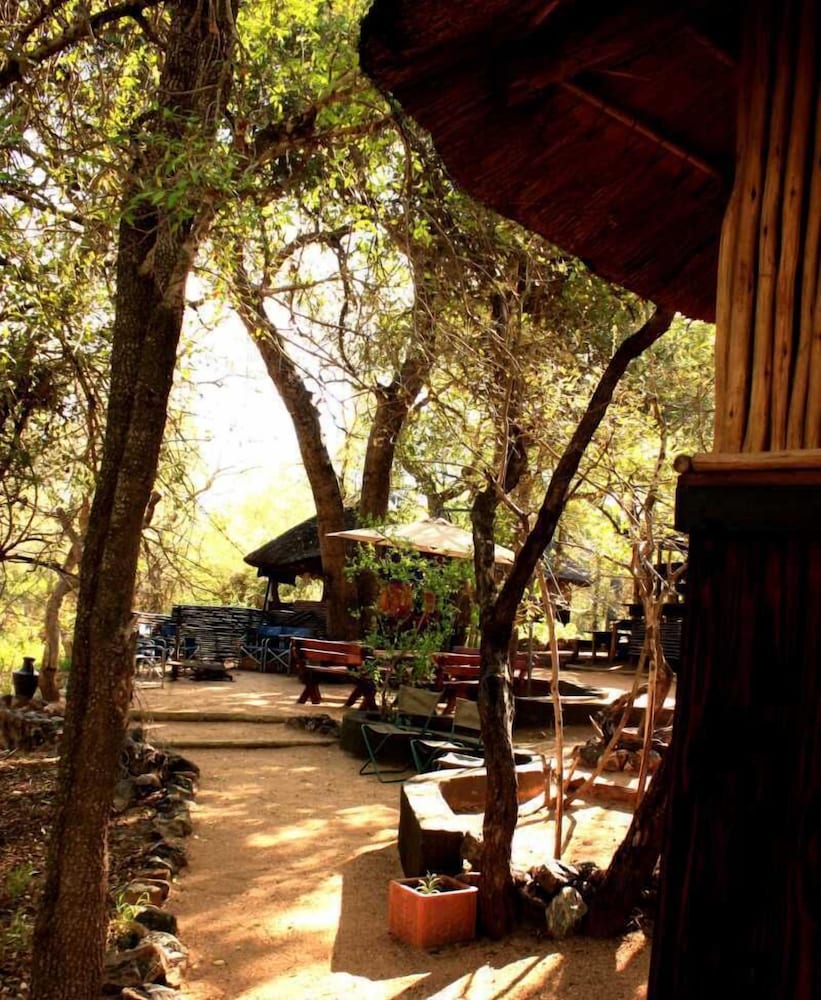 Offbeat Safaris 6/37