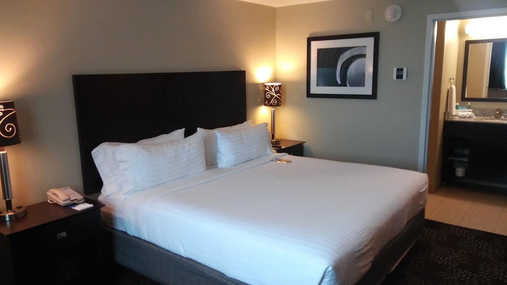 Holiday Inn Express Suites Pittsburgh West Green Tree 9/44