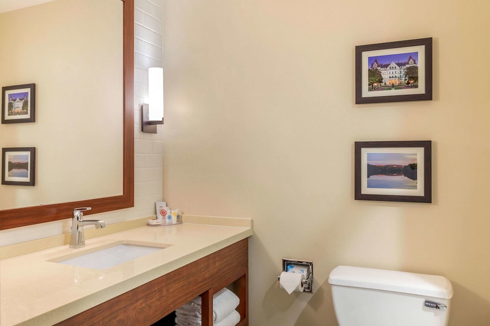 Comfort Inn Suites Schenectady - Scotia 20/44