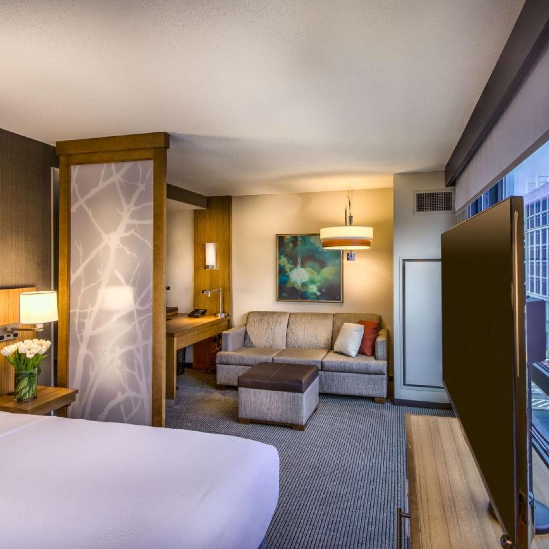 Specialty, King Bed, Sofa, Accessible