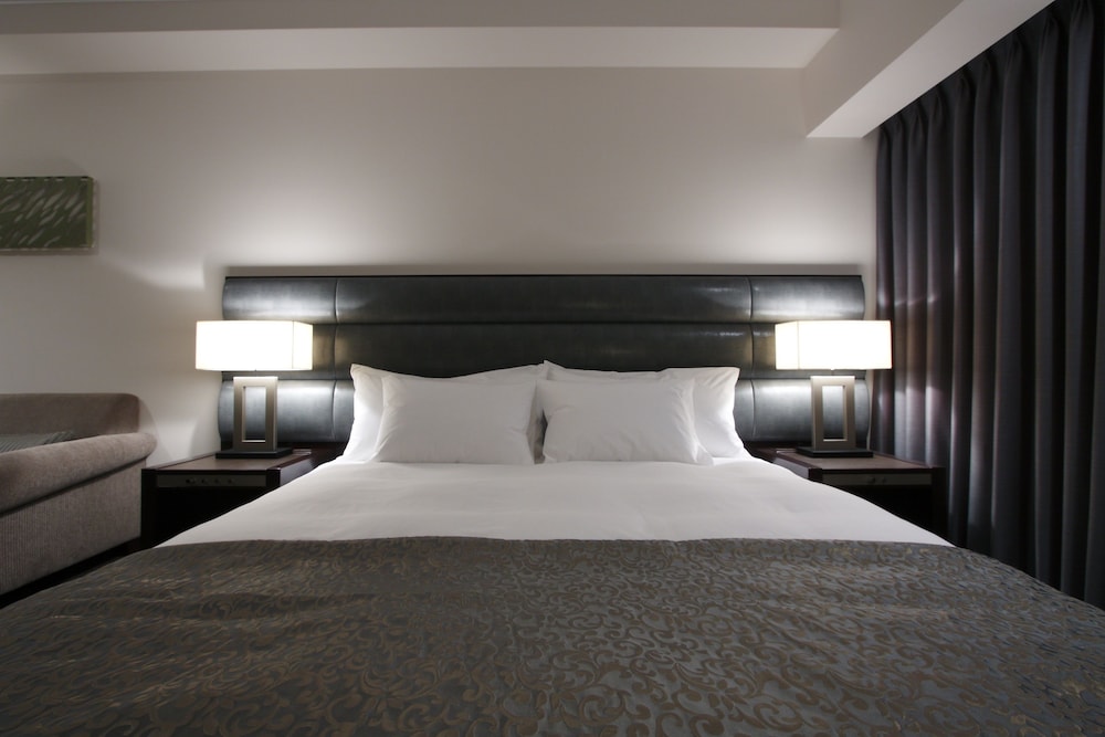 Ibis Styles Sapporo 15/61