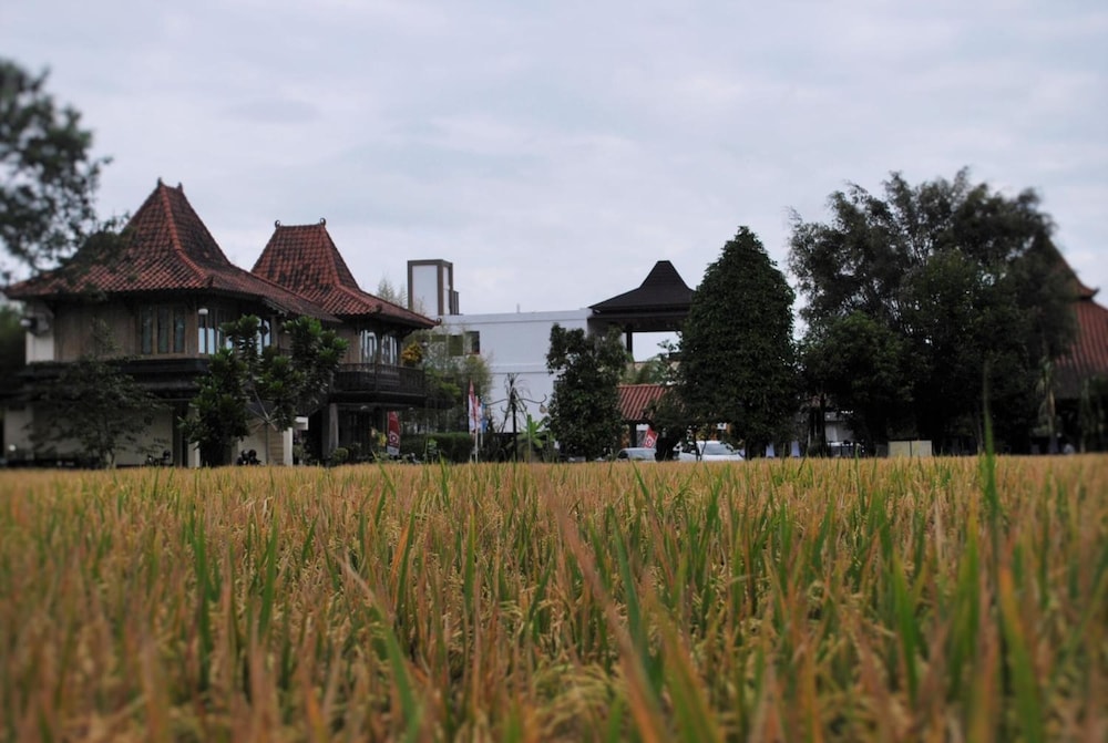 Java Village Resort 49/56