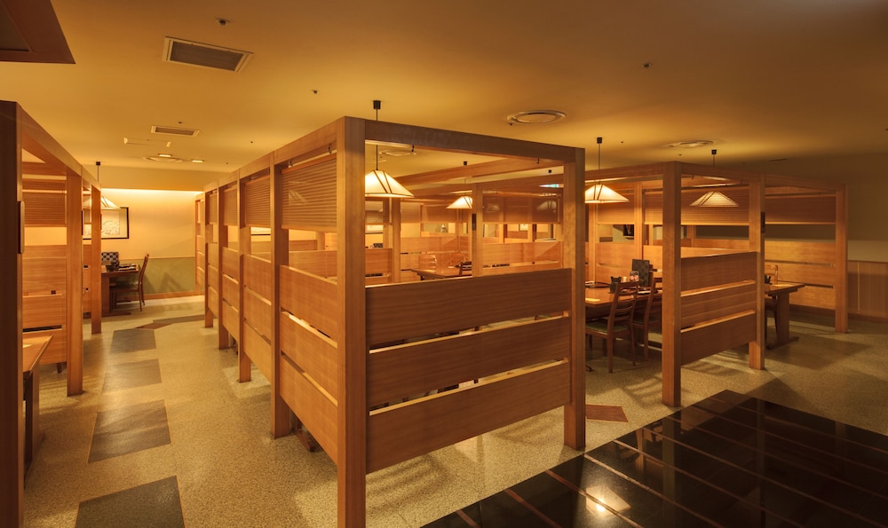 Hida Hotel Plaza 12/63
