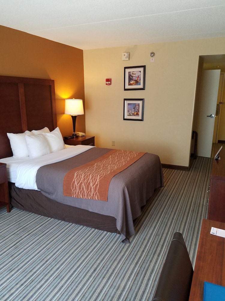 Room, Double Bed, Accessible