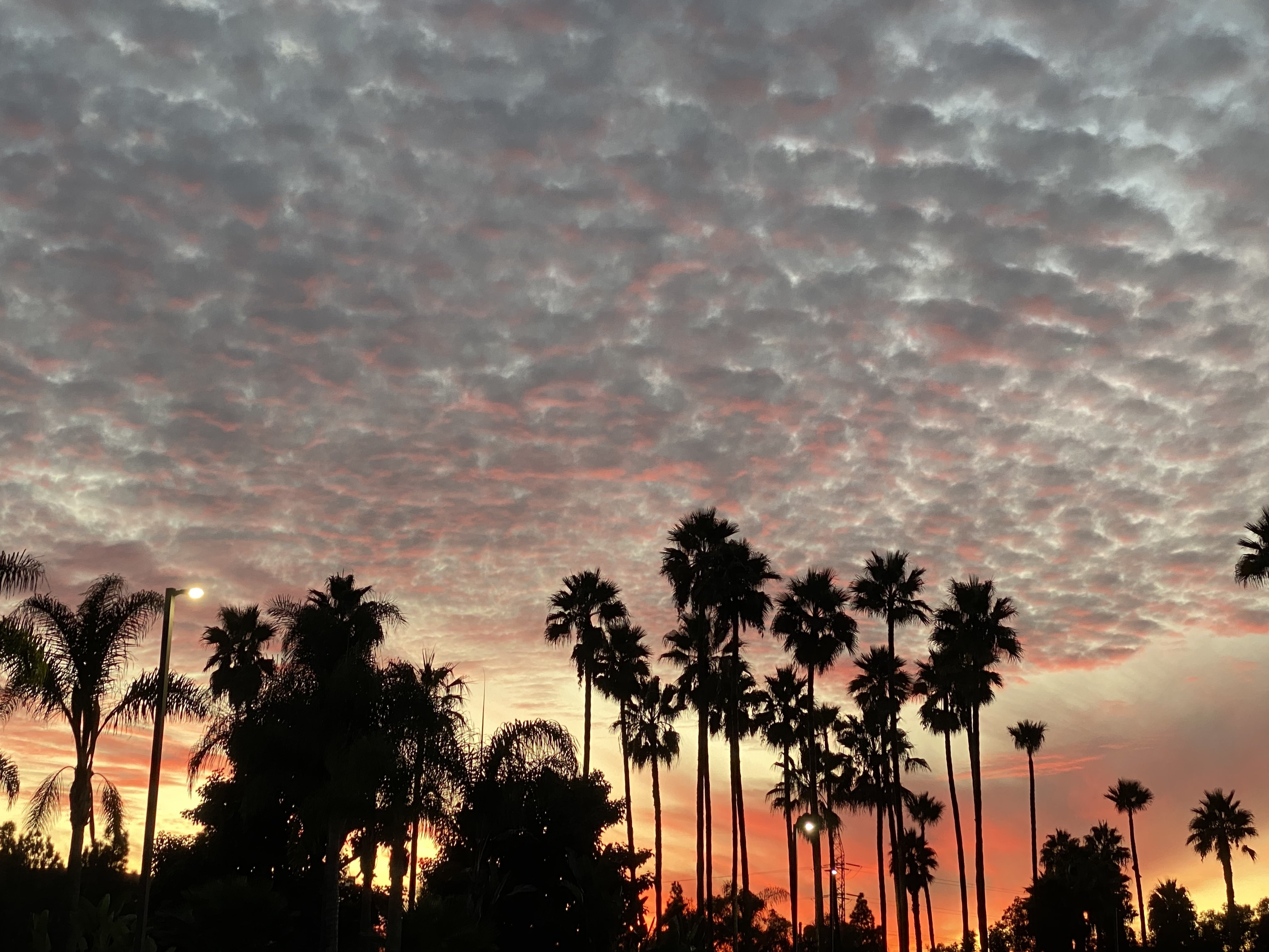 Holiday Inn Express Hotel & Suites Carlsbad Beach 40/45