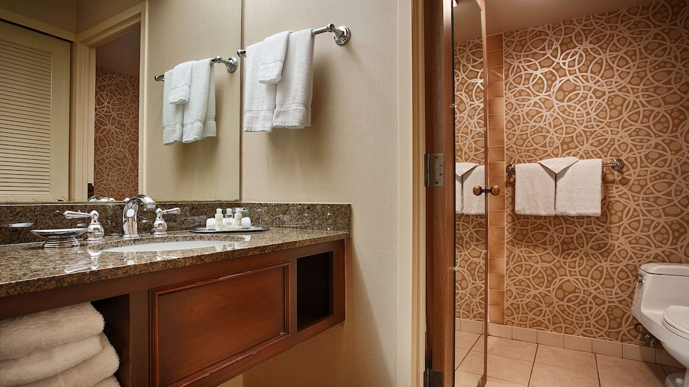 Best Western Plus the Normandy Inn Suites 13/31