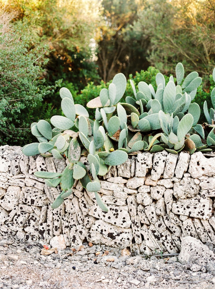 Casal Santa Eulalia 42/50