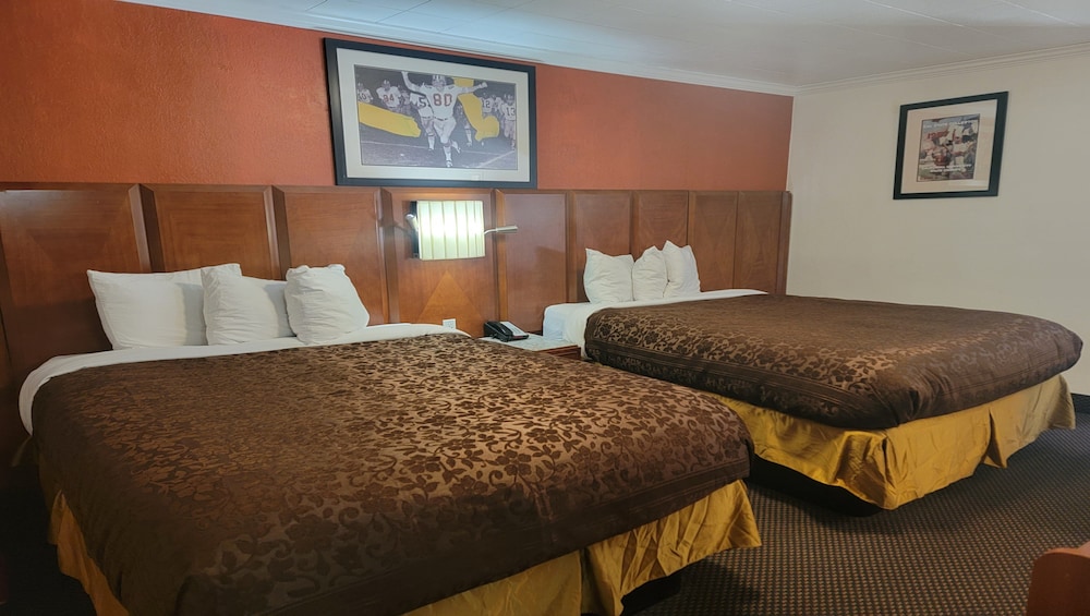 M Star Cedar City 29/50