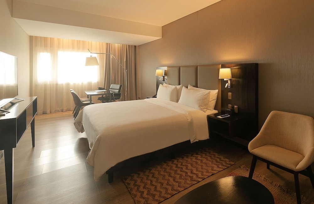 Radisson Hotel Santa Cruz 17/63