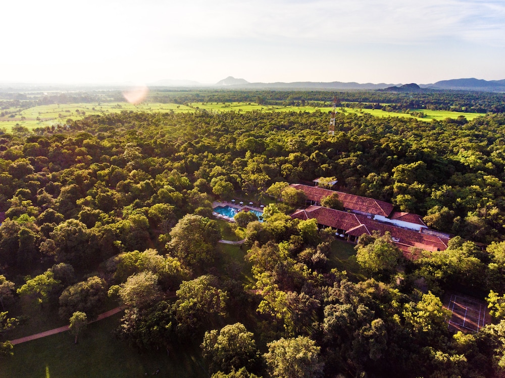Amaya Lake 39/50