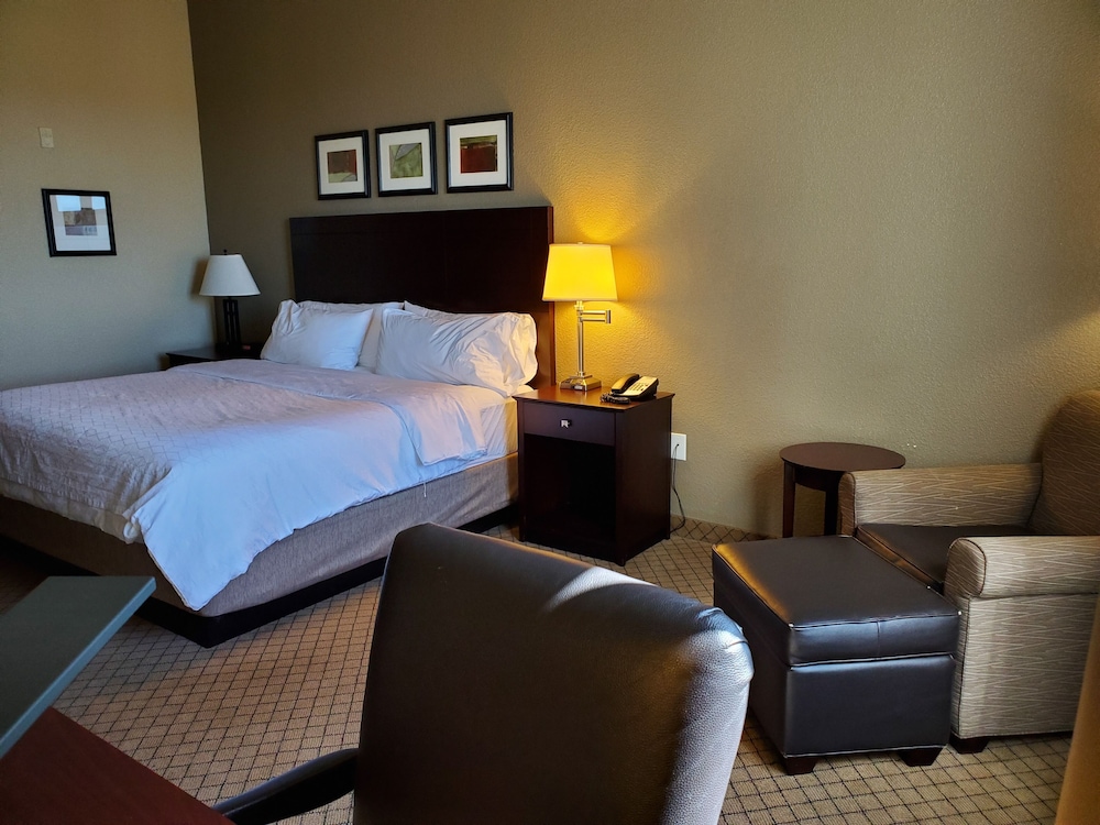 Holiday Inn Express Hotel And Suites Mankato East 19/76