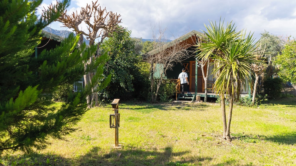 Etenna Bungalow 73/84
