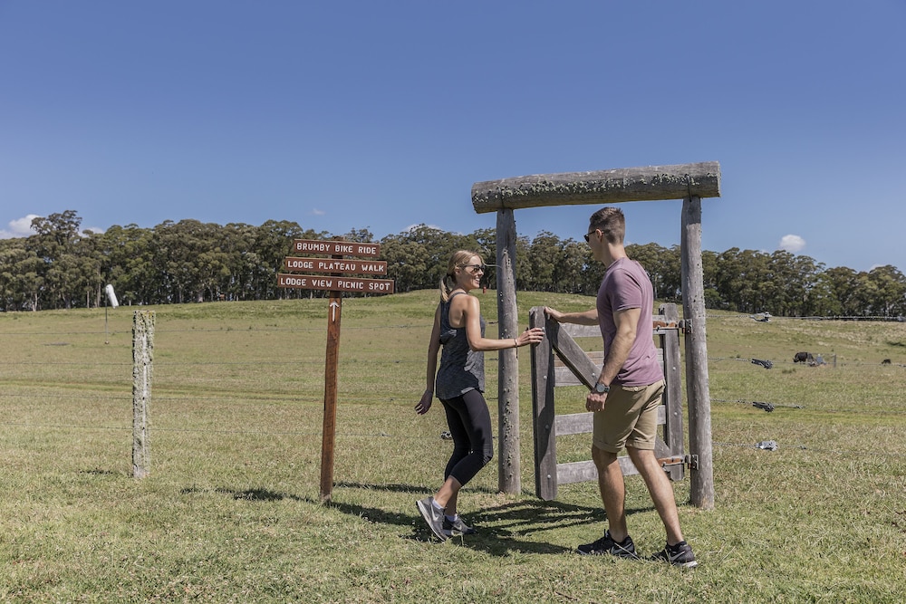 Spicers Peak Lodge 32/82
