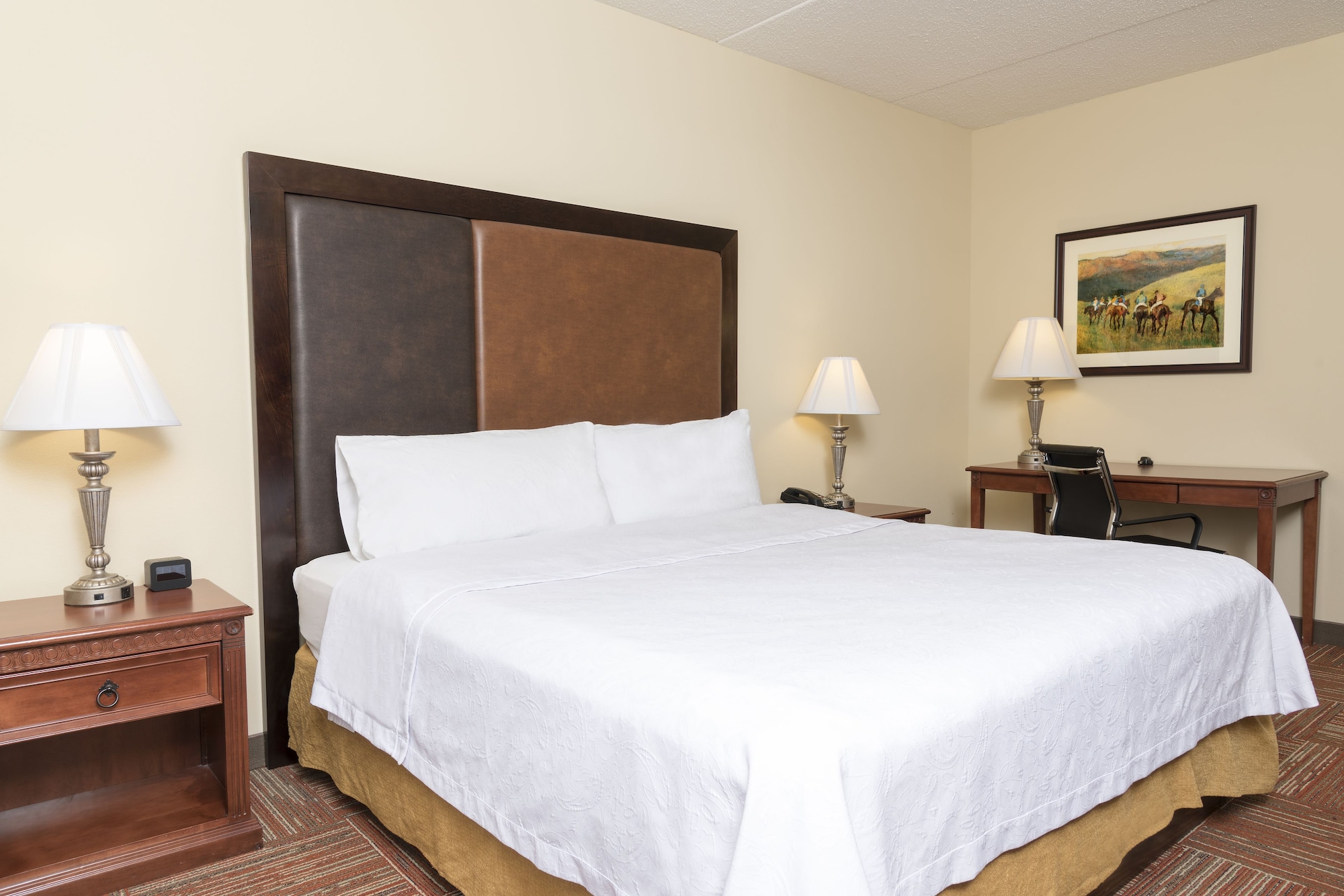 Suite, King Bed, Sofa