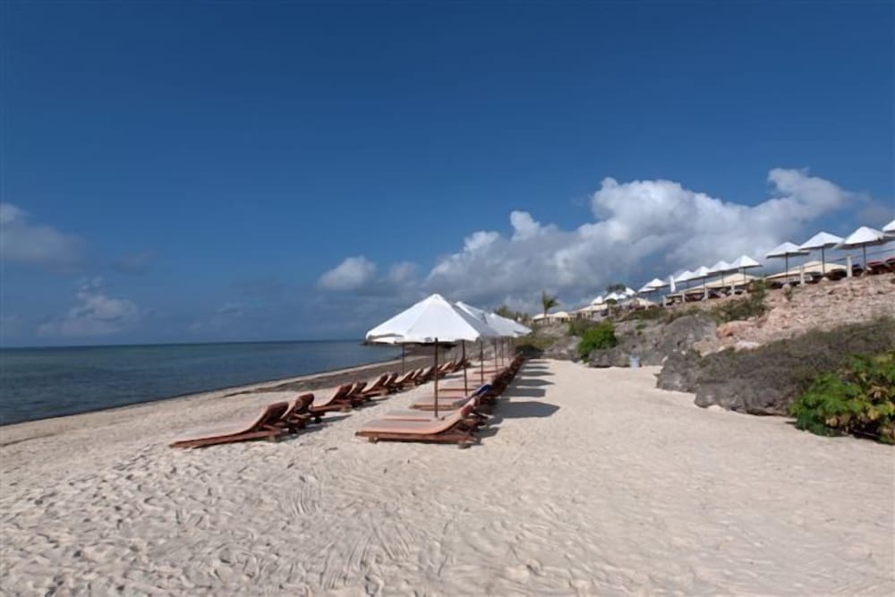 THE ONE 34/50