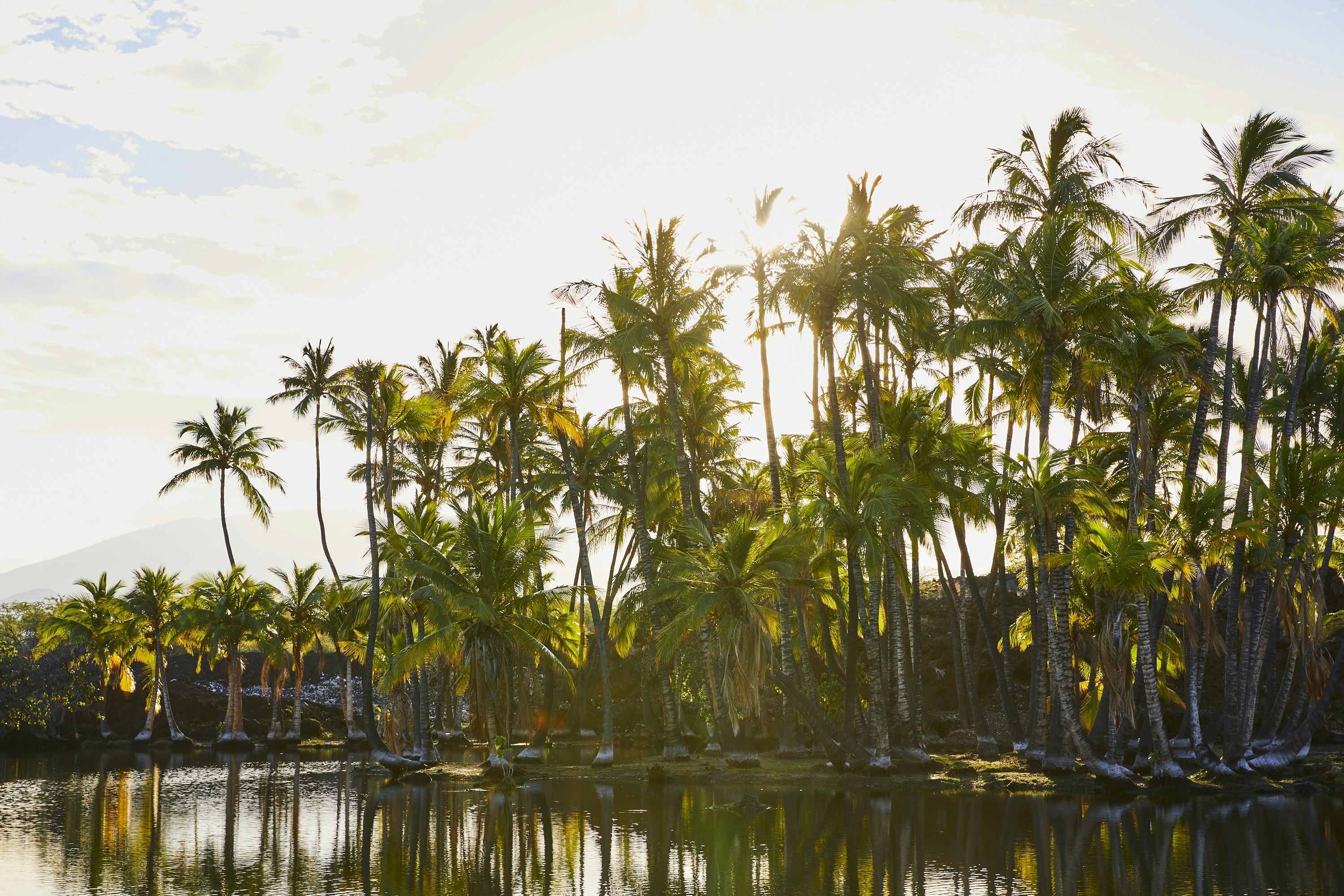 Mauna Lani, Auberge Resorts Collection 46/50