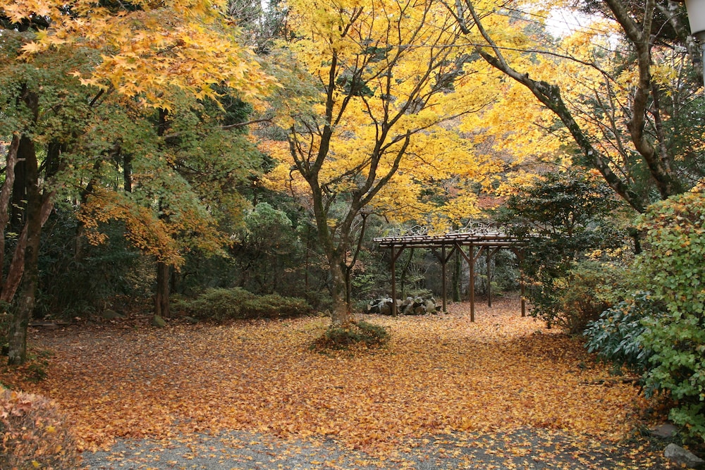 Senkyoro Ryokan 30/40