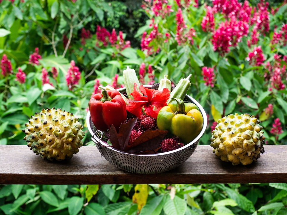 La Loma Jungle Lodge & Chocolate Farm 25/63