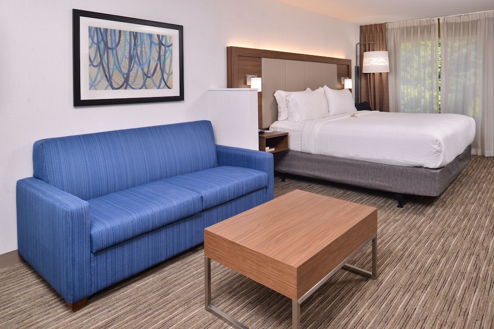 Holiday Inn Express Hotel & Suites Lacey-Olympia 18/49